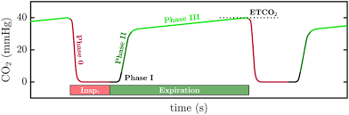 ETCO2 capnography phases